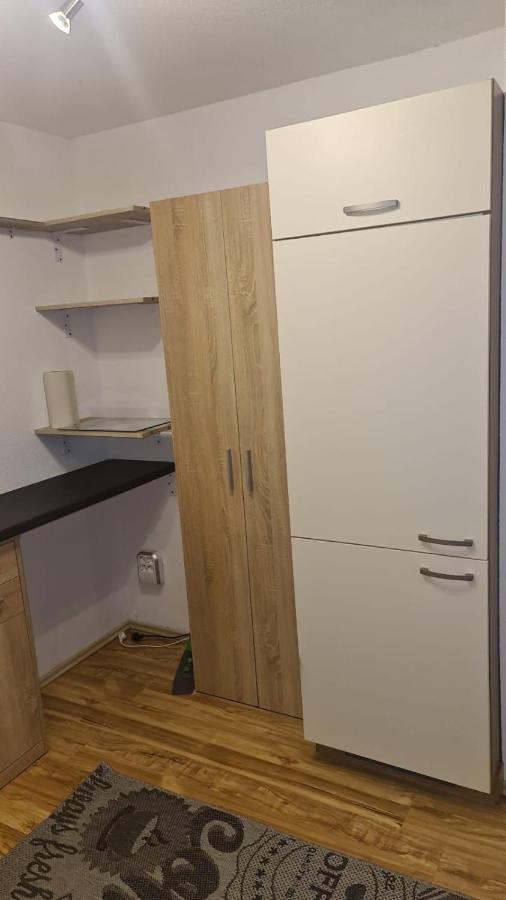 Apartment Rheintal Im Alpenvorland Batschuns Exteriör bild