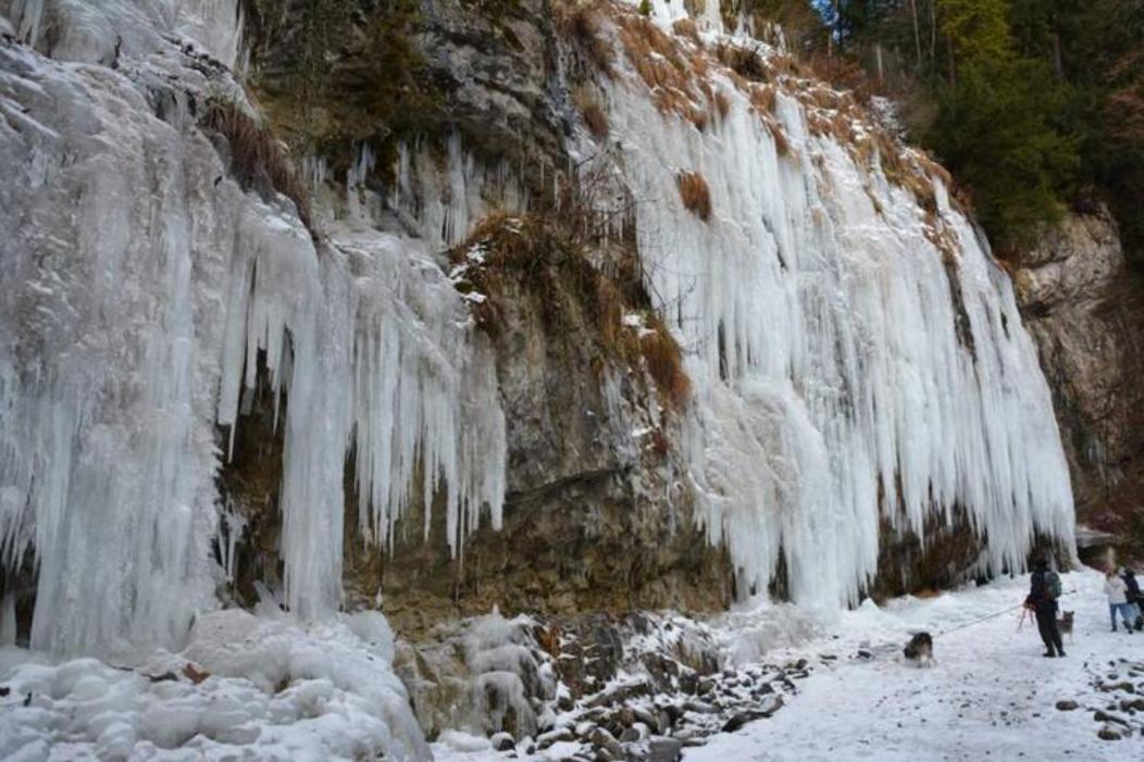 Apartment Rheintal Im Alpenvorland Batschuns Exteriör bild