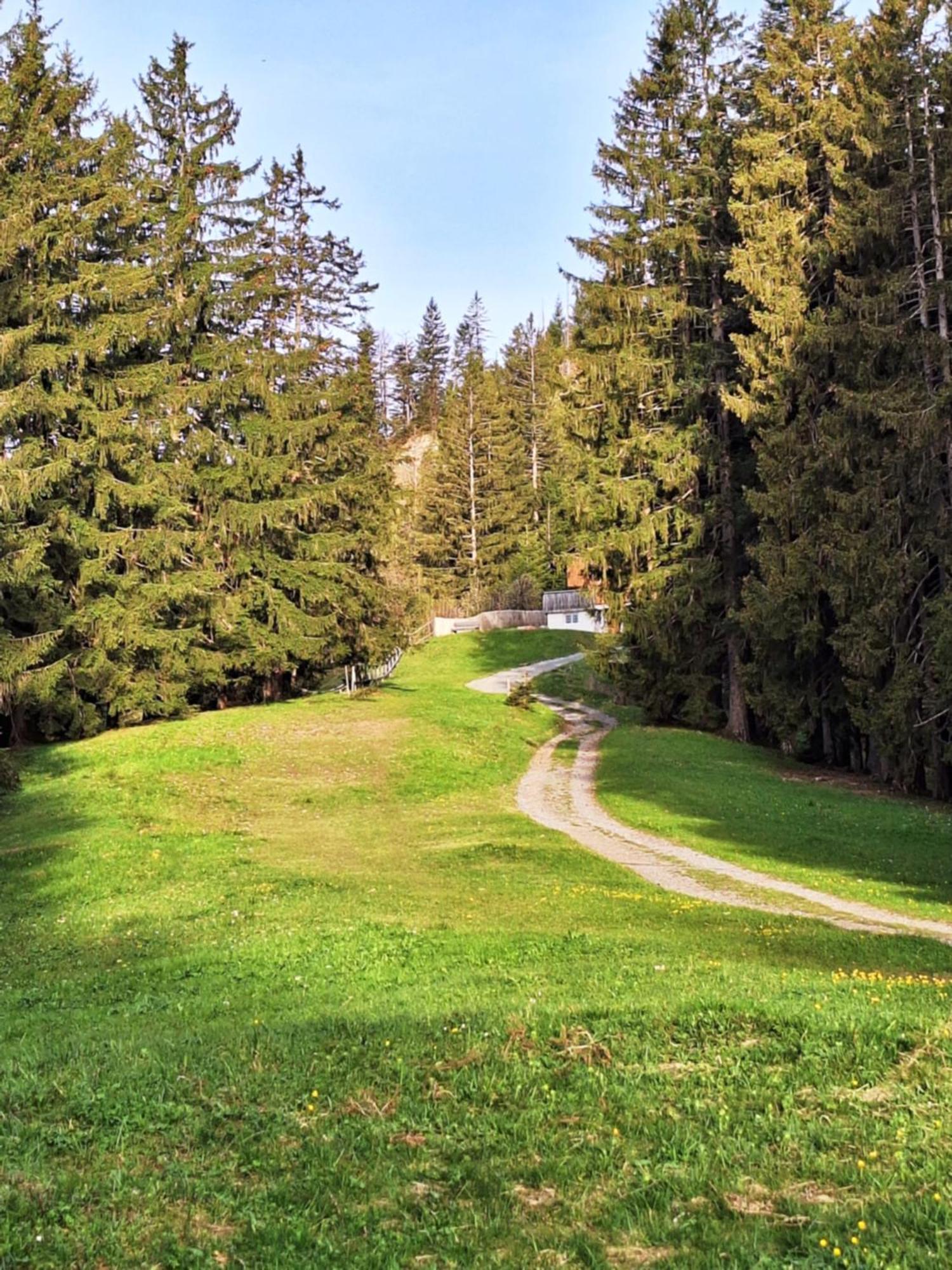 Apartment Rheintal Im Alpenvorland Batschuns Exteriör bild