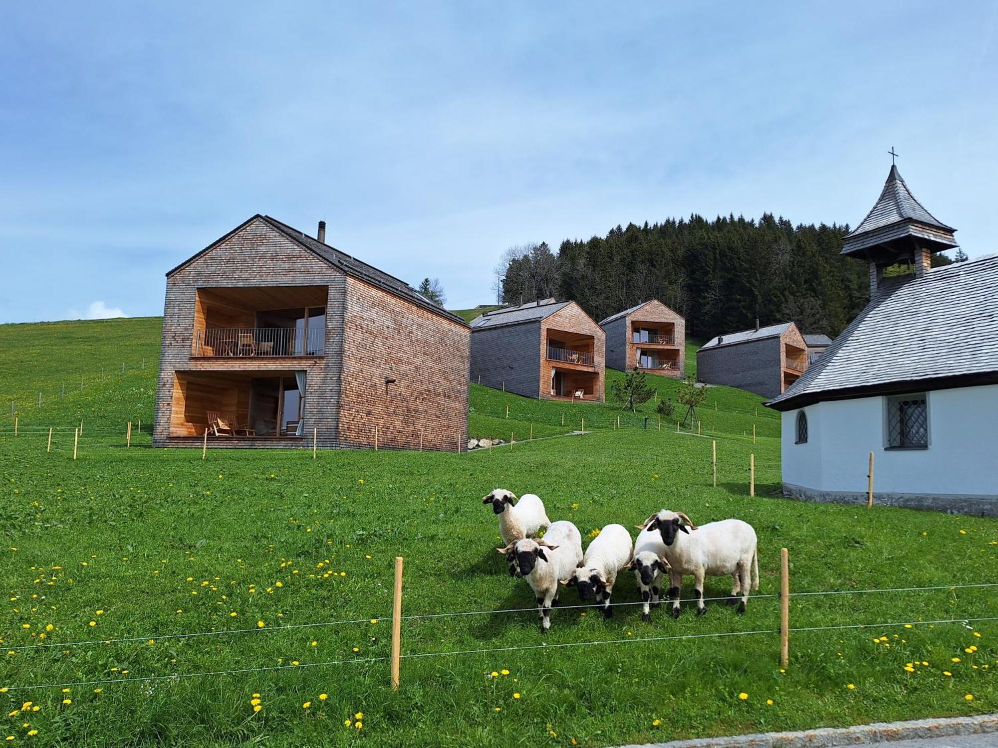 Apartment Rheintal Im Alpenvorland Batschuns Exteriör bild