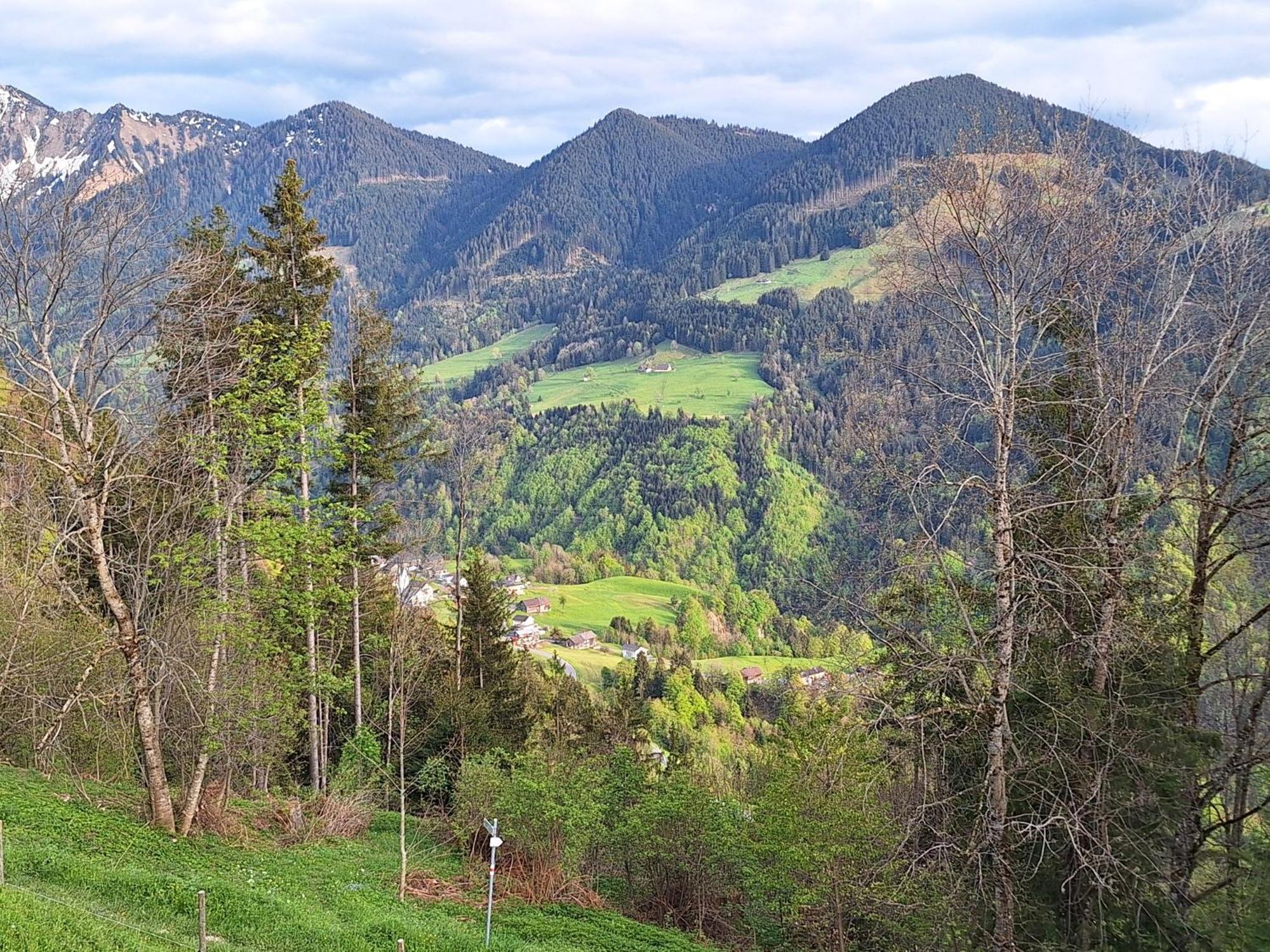 Apartment Rheintal Im Alpenvorland Batschuns Exteriör bild