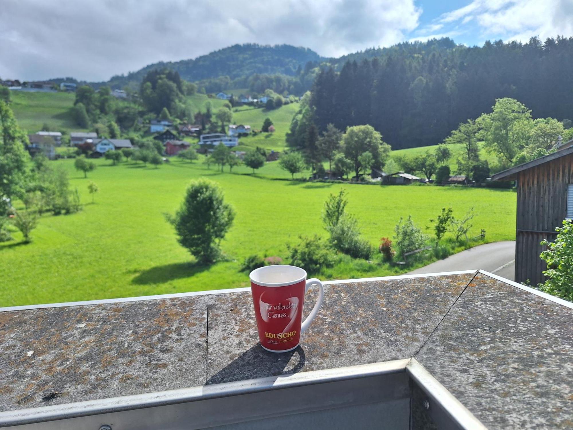 Apartment Rheintal Im Alpenvorland Batschuns Exteriör bild